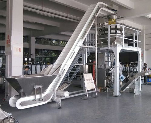 安徽天之業(yè) 以智能包裝機(jī)械賦能速凍產(chǎn)業(yè)，助力青島企業(yè)高效節(jié)省人力